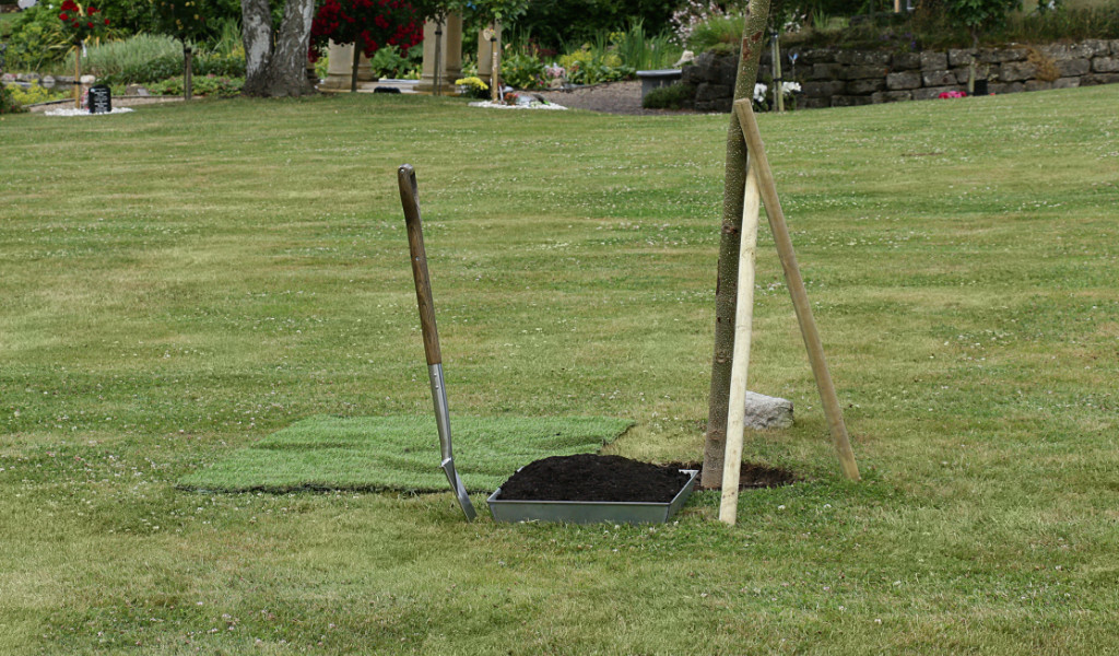 Queen's Jubilee Tree Planting at PMG