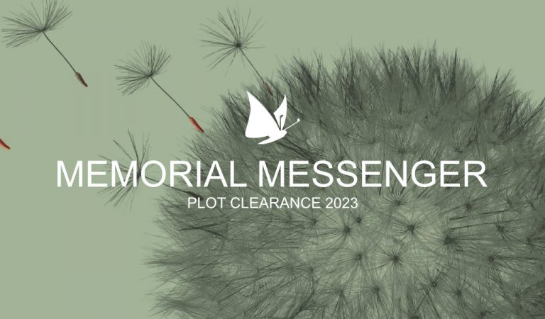 Plot Clearance