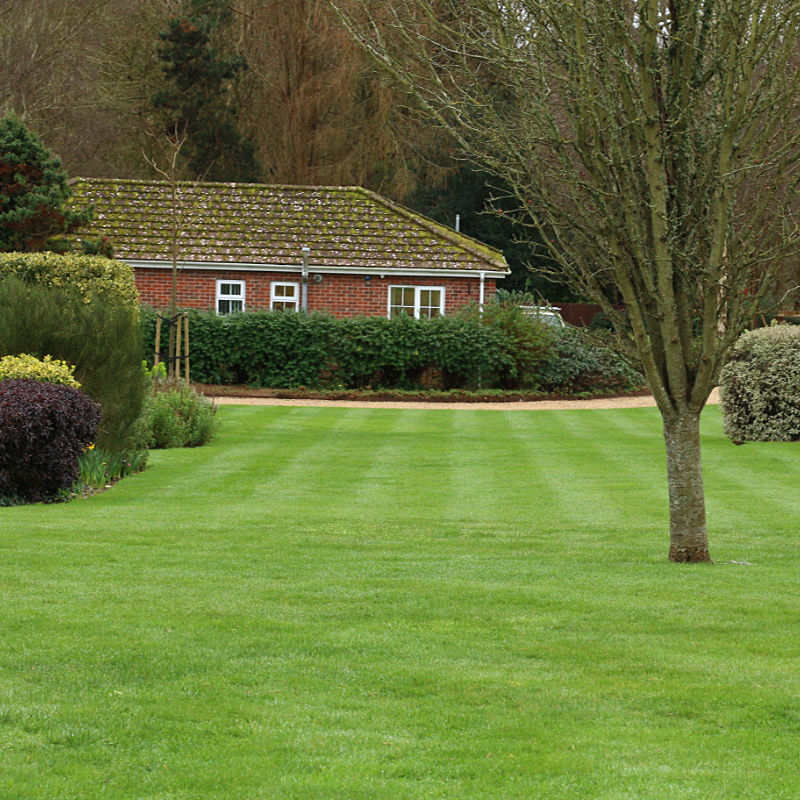 A view from the top of the gardens looking down towards the office. Lines shown in the freshly cut and well maintained lawn.