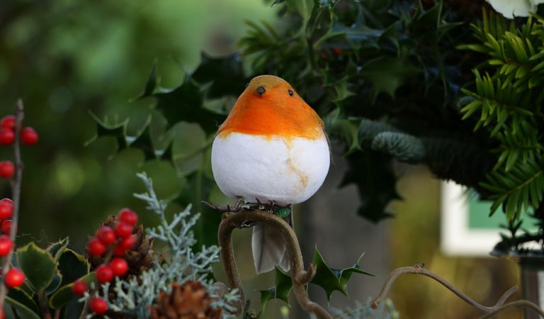 Christmas Arrangements